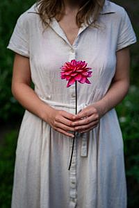 Handen van een jong meisje houden een roze dahlia vast.