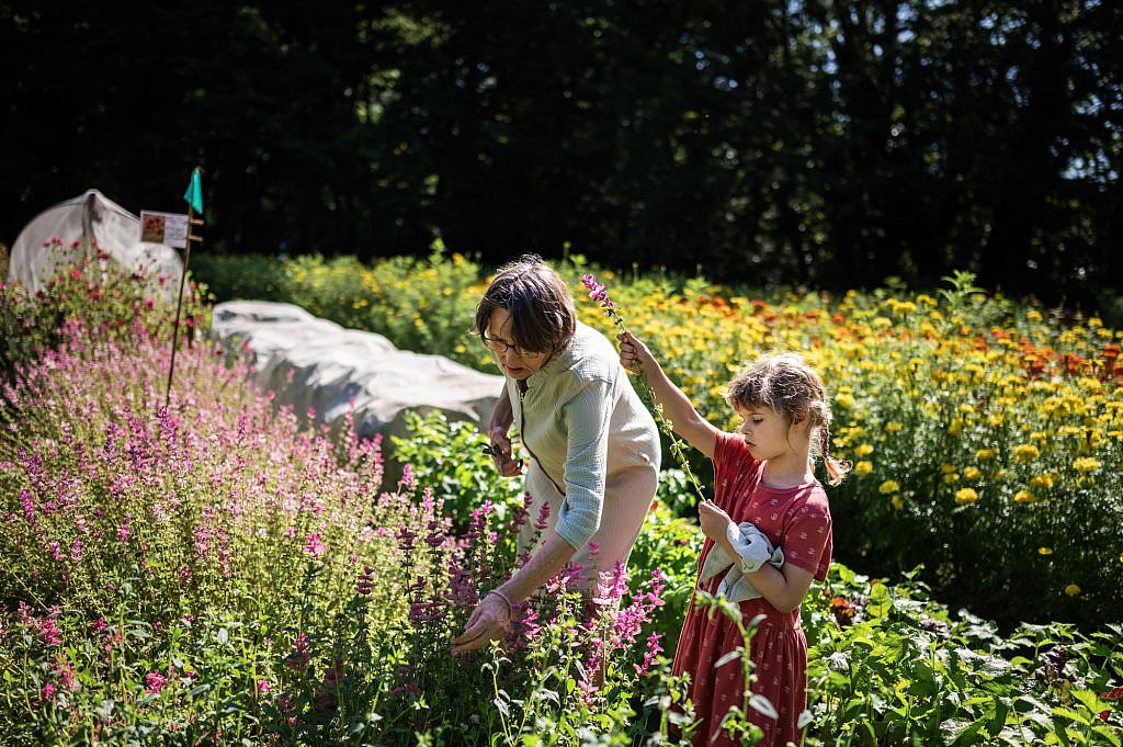 Oma en haar kleindochter plukken bloemen in de pluktuin.